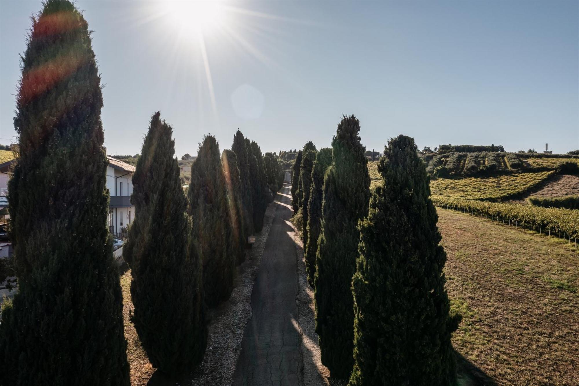 Tenuta Querce Grosse- Le Dimore Ferienhaus